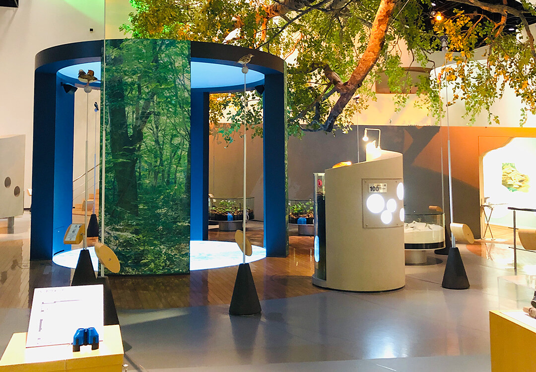 白神山地ビジターセンター