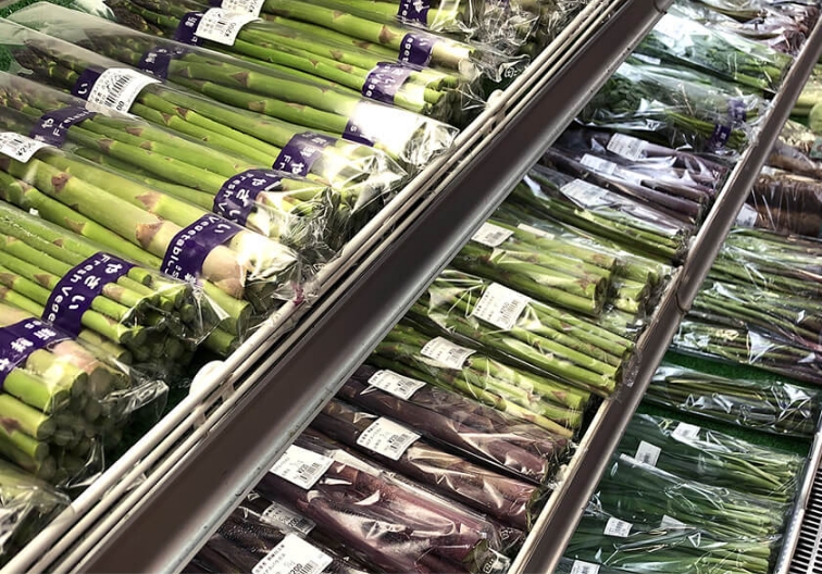 道の駅「津軽白神」ビーチにしめや